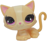 #3360 Sitting Cat